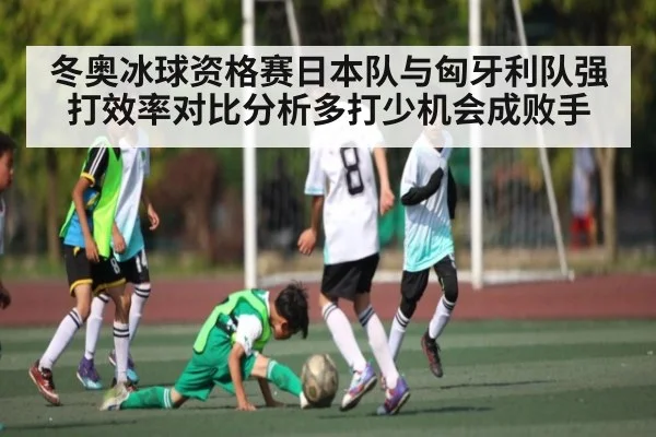 冬奥冰球资格赛日本队与匈牙利队强打效率对比分析多打少机会成败手